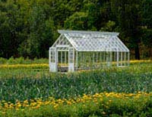Greenhouses, Conservatories and Sunhouses