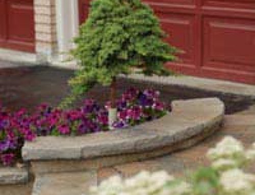 Landscaping for Driveways